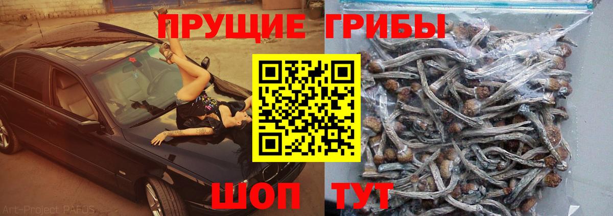 Псилоцибиновые грибы прущие грибы  Вход с VPN  Реутов 